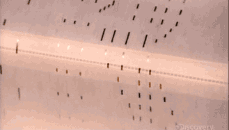 1646122585147408.gif 微信图片_20211129105219.gif